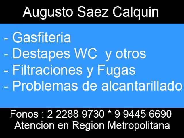 Oficios.cl Augusto Saez Calquin